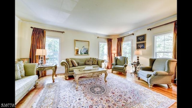 4 Lindsay Ln, Sparta Twp, NJ 07871 - living room featuring healthy amount of natural light and wood finished floors