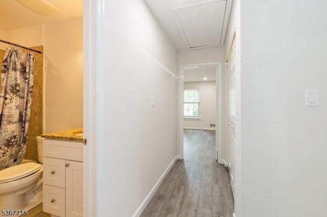 255 Glastonbury Ln, Franklin Twp, NJ 08873 - hallway featuring light wood-style flooring and attic access