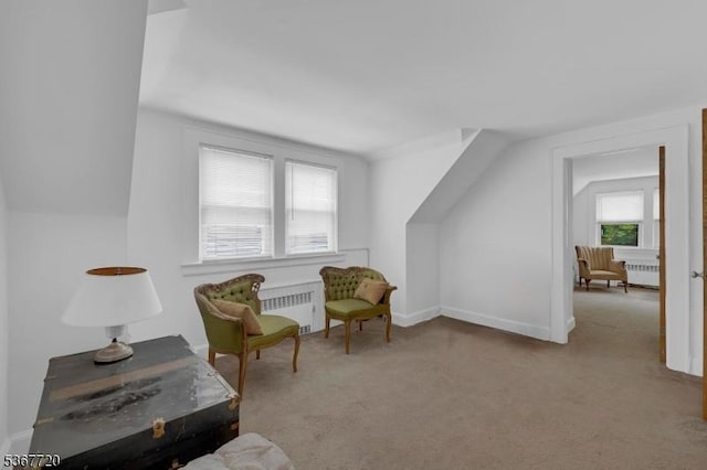 74 Elm Rd, Caldwell Boro Twp, NJ 07006 - sitting room featuring radiator and carpet flooring