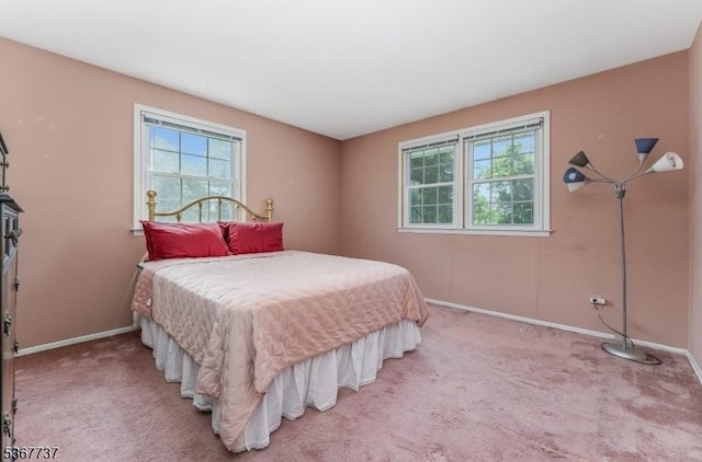 4 Orchid Pl, Clinton Twp, NJ 08833 - bedroom featuring baseboards and light colored carpet