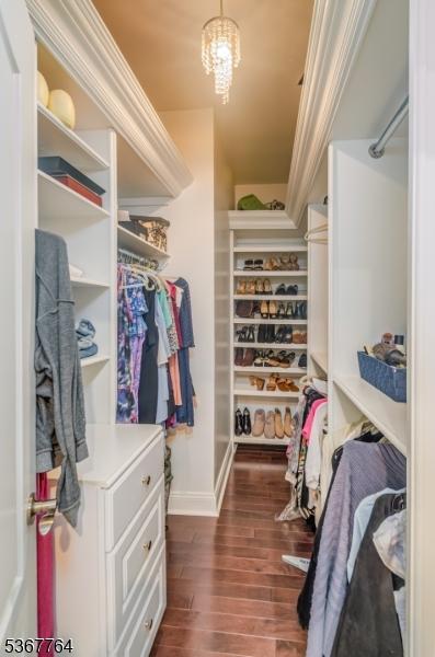 106 Woodbine Cir, New Providence Boro, NJ 07974 - walk in closet with dark wood-type flooring