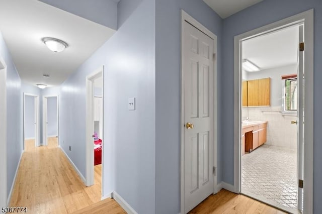 5 Peppermint Hill Rd, North Brunswick Twp, NJ 08902 - corridor with light wood finished floors and baseboards