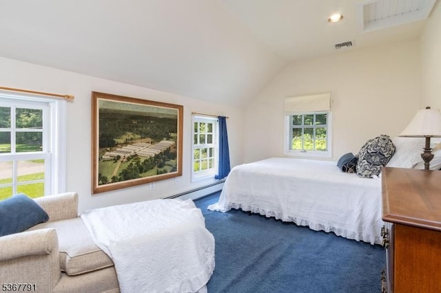 30 Bissell Rd, Tewksbury Twp, NJ 08833 - carpeted bedroom with baseboard heating, multiple windows, and lofted ceiling