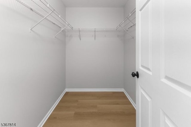 16 Edith Dr, Franklin Twp, NJ 08873 - walk in closet featuring light wood finished floors