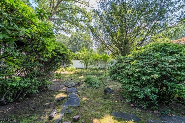 173 Raab Ave, Bloomfield Twp, NJ 07003 - view of yard