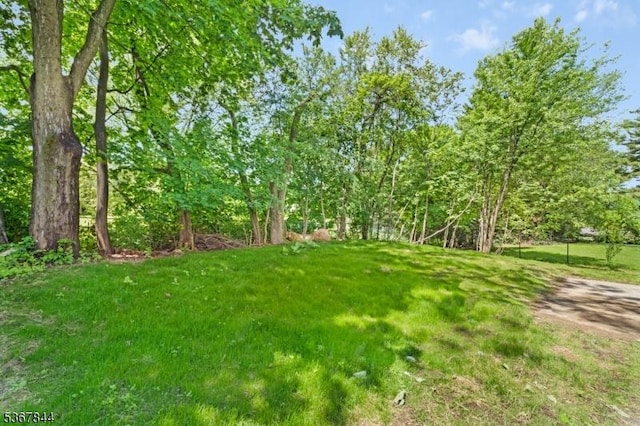 19 Pleasant View Ave, Washington Twp, NJ 07882 - view of green lawn