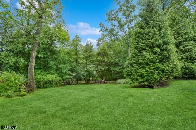 11 Old Farm Rd, North Caldwell Boro, NJ 07006 - view of grassy yard