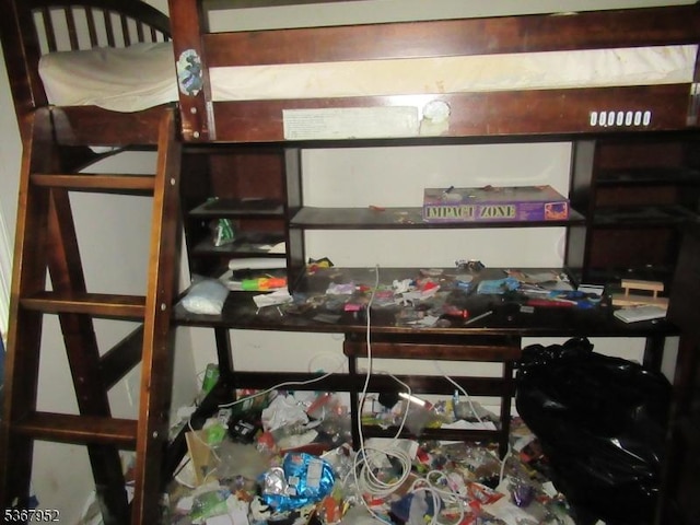 436 Diamond Spring Rd, Denville Twp, NJ 07834 - view of storage