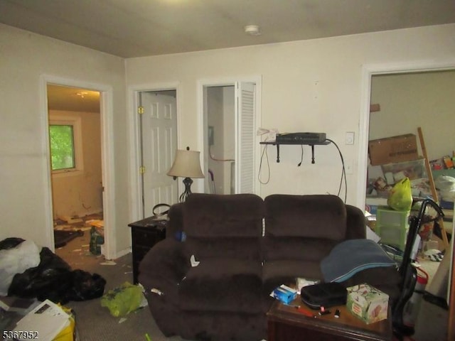 436 Diamond Spring Rd, Denville Twp, NJ 07834 - living area featuring carpet floors
