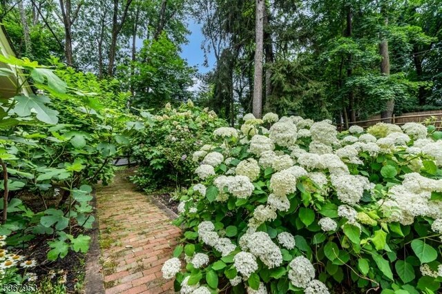 2041 Raritan Rd, Scotch Plains Twp, NJ 07076