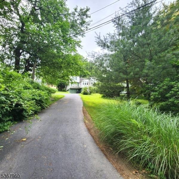 118 Hilltop Trl, Sparta Twp, NJ 07871 - view of obstructed view of property