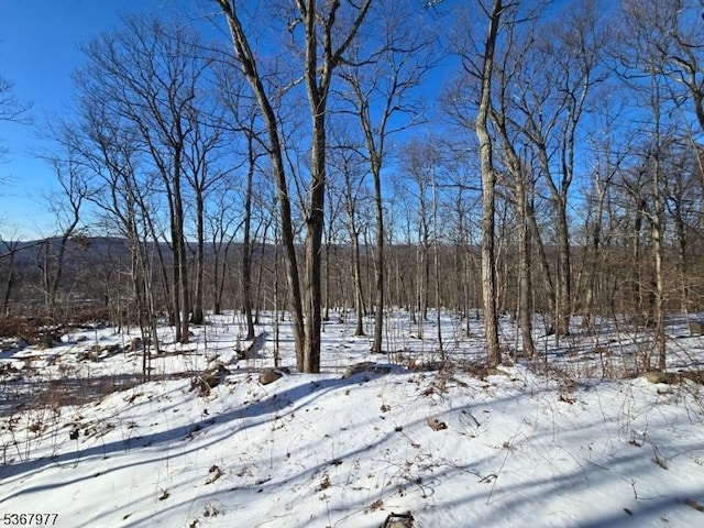 79 Coventry Way, Ringwood Boro, NJ 07456