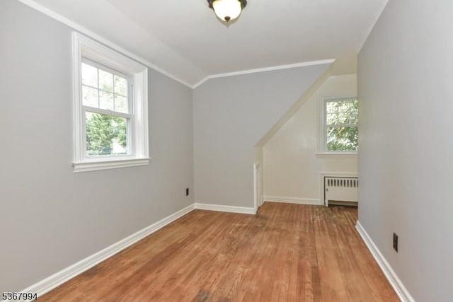 36 Grove St, Waldwick Boro, NJ 07463 - bonus room with radiator, plenty of natural light, light wood-style flooring, and lofted ceiling