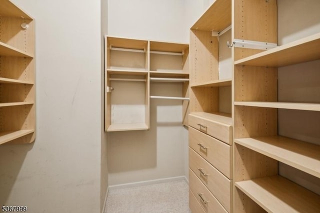1407 Four Seasons Dr Unit 1407, Wayne Twp, NJ 07470 - spacious closet featuring carpet floors