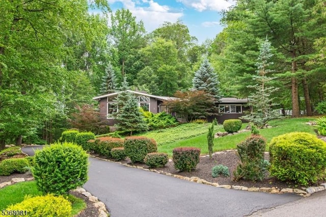 7 Deer Ct, Chester Twp, NJ 07930 - view of property's community