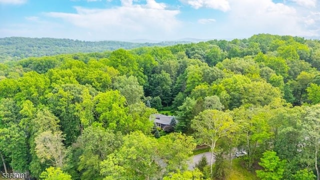 7 Deer Ct, Chester Twp, NJ 07930 - bird's eye view of a forest