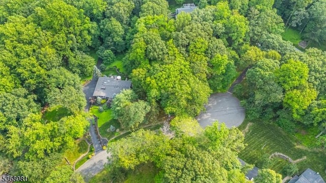 7 Deer Ct, Chester Twp, NJ 07930 - aerial view of property's location