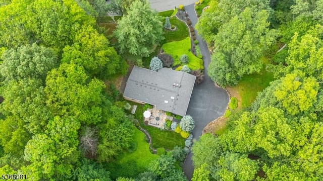 7 Deer Ct, Chester Twp, NJ 07930 - aerial view