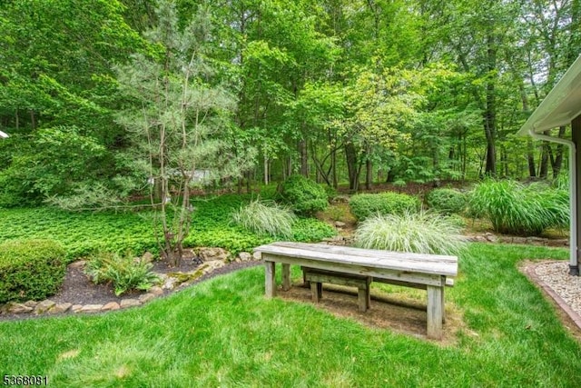7 Deer Ct, Chester Twp, NJ 07930 - view of green lawn