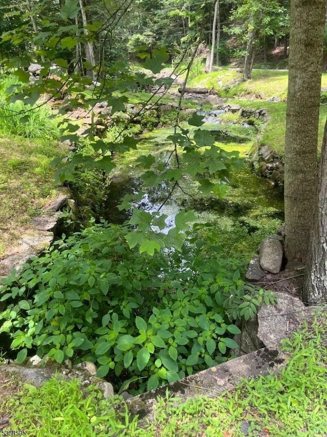 115 Bierskill Rd, Montague Twp, NJ 07827 - view of undeveloped land
