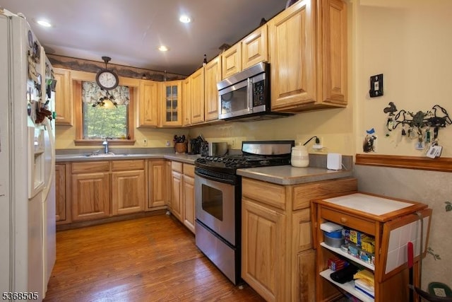 115 Bierskill Rd, Montague Twp, NJ 07827 - kitchen featuring appliances with stainless steel finishes, wood finished floors, glass insert cabinets, recessed lighting, and light brown cabinets