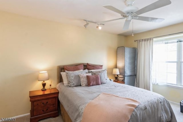 76 Avebury Pl, Franklin Twp, NJ 08873 - carpeted bedroom with rail lighting, multiple windows, and ceiling fan