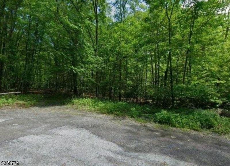 20 Bayberry Rd, Hampton Twp, NJ 07860