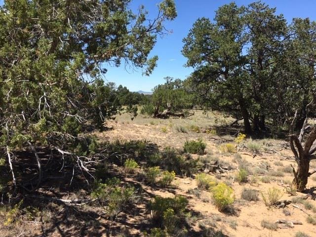 TRACT23 Choctaw, Pie Town NM, 87827 land for sale