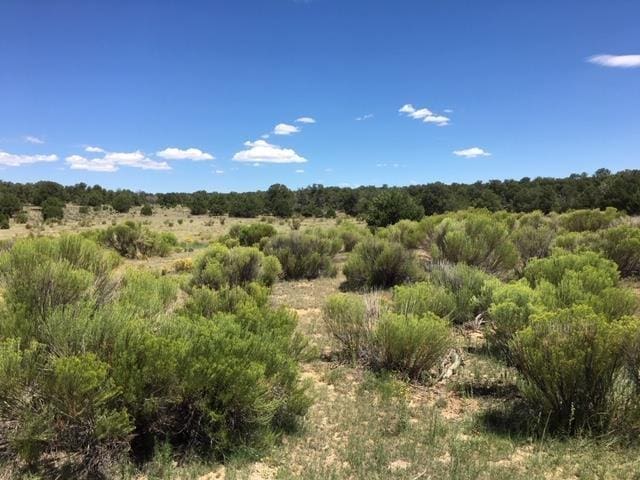 Listing photo 2 for TRACT23 Choctaw, Pie Town NM 87827