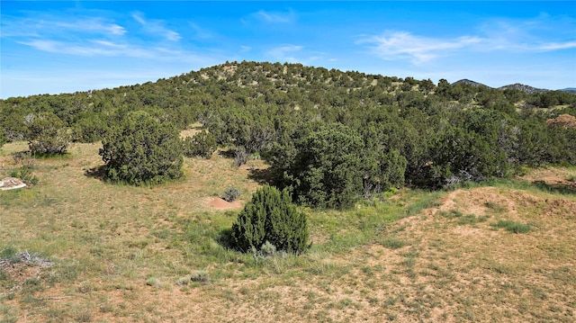 Listing photo 2 for 11 Avenida De Amistad, Santa Fe NM 87508