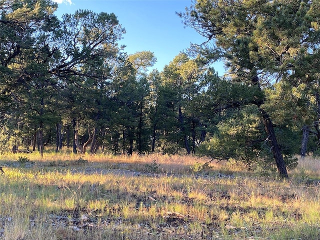 47 Silver Feather Trl, Pecos NM, 87552 land for sale