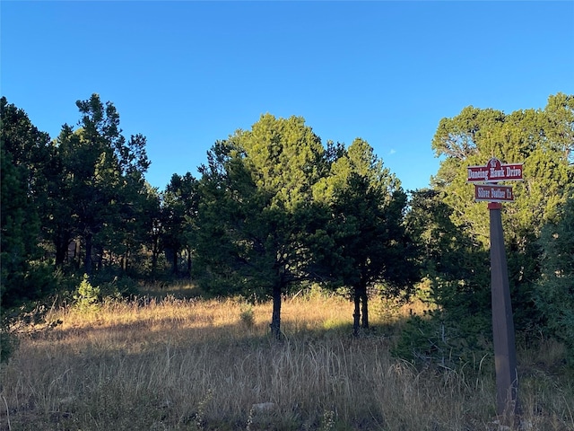 73 Silver Feather Trl, Pecos NM, 87552 land for sale