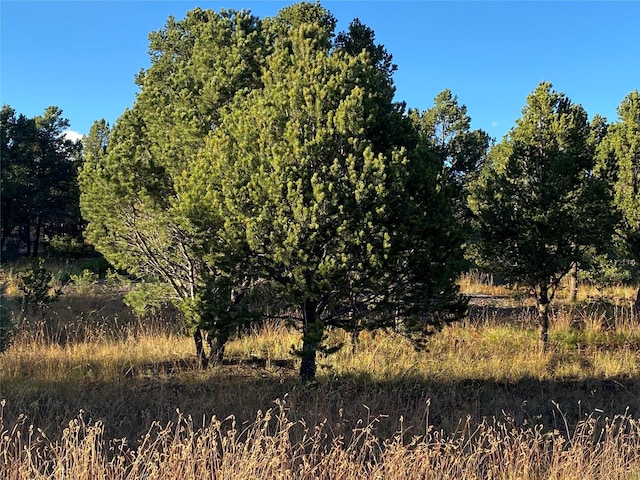 Listing photo 2 for 73 Silver Feather Trl, Pecos NM 87552