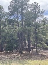 45 Silver Feather Trl, Pecos NM, 87552 land for sale