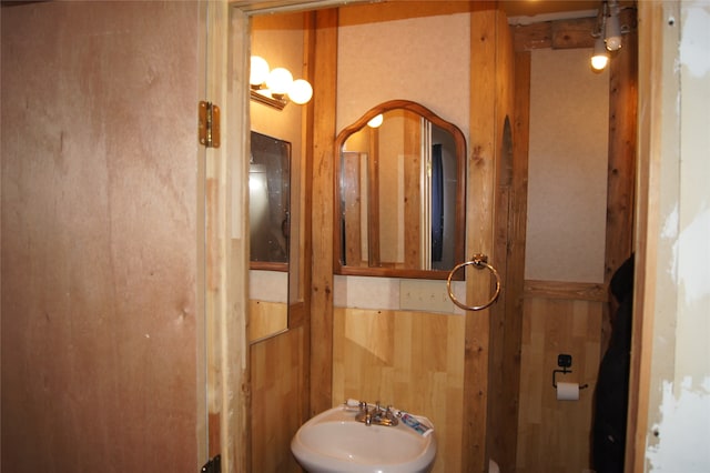 bathroom with sink and wooden walls