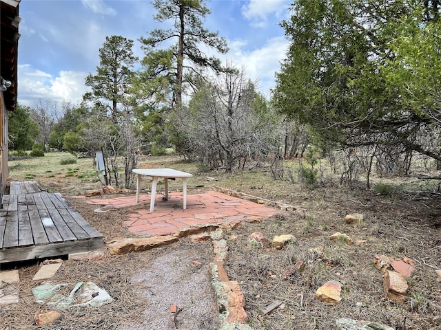 view of yard with a patio area