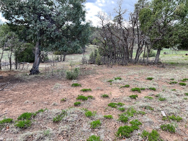 view of yard with a rural view