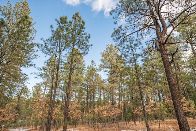 Listing photo 3 for LOT89 Camino Facil, Rociada NM 87742