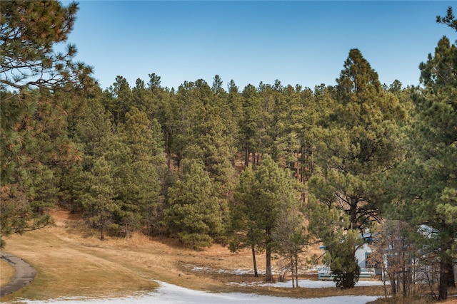 Listing photo 3 for LOT44 Camino Facil, Rociada NM 87742