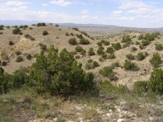 Address Not Disclosed, Cerrillos NM, 87010 land for sale