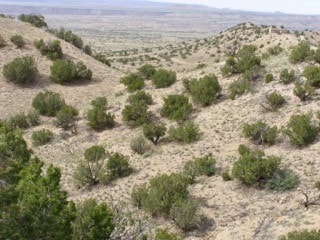 Listing photo 2 for Address Not Disclosed, Cerrillos NM 87010