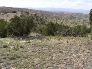 Listing photo 3 for Address Not Disclosed, Cerrillos NM 87010