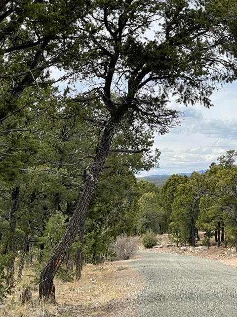 16 Wild Wings Cir, Pecos NM, 87552 land for sale