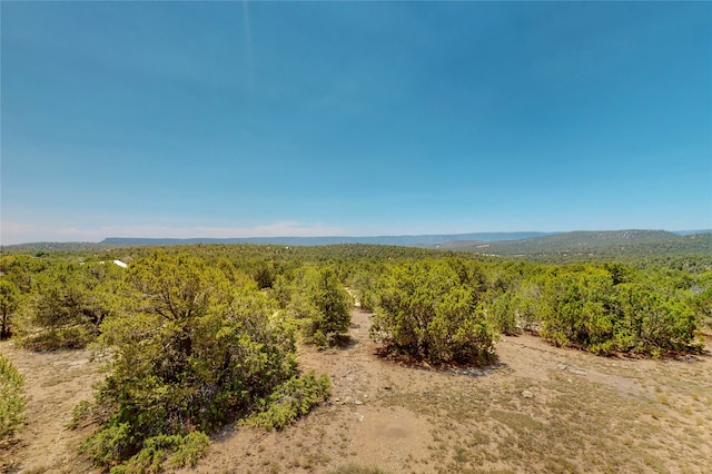 view of local wilderness with a wooded view