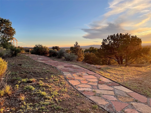 view of yard at dusk