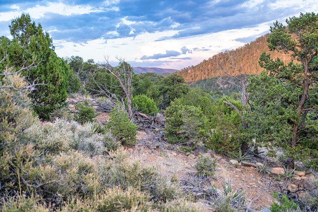 Listing photo 3 for 103 Coyote Mountain Rd, Santa Fe NM 87505