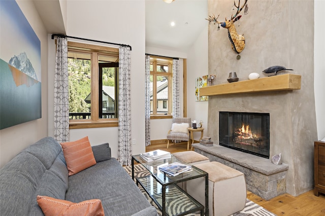 living room with high vaulted ceiling and light hardwood / wood-style flooring