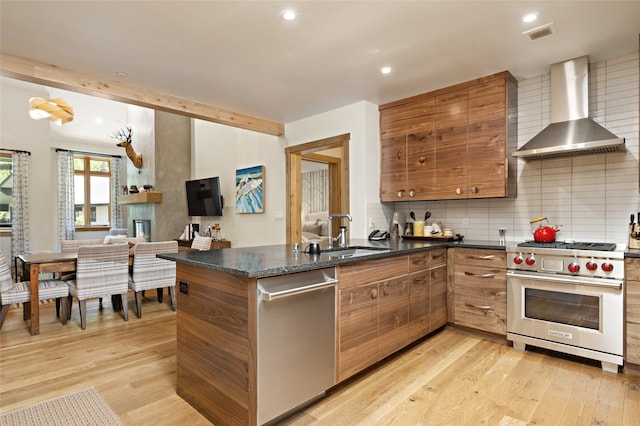 kitchen featuring light hardwood / wood-style flooring, appliances with stainless steel finishes, wall chimney exhaust hood, backsplash, and sink