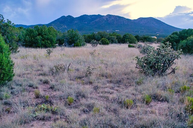 Listing photo 3 for 509 Goldmine, Cerrillos NM 87010