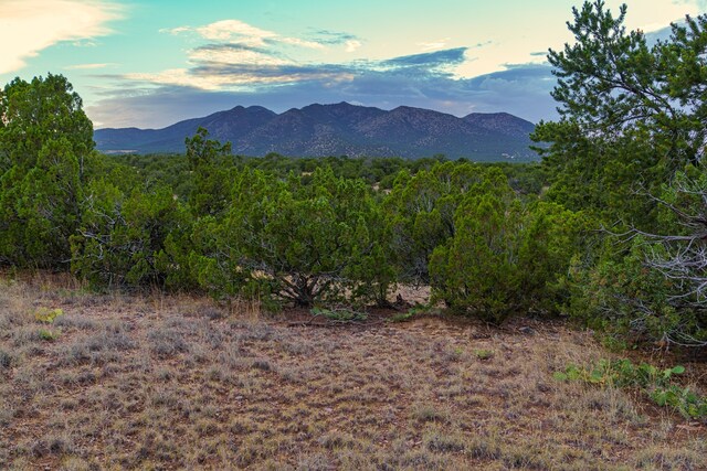 176 Wagon Trl, Cerrillos NM, 87010 land for sale